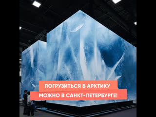 you can dive into the arctic in st. petersburg