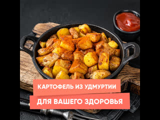 potatoes from udmurtia for your health