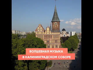 magical music in the kaliningrad cathedral