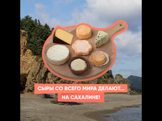 cheeses from all over the world are made ... on sakhalin