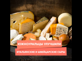 south urals improve italian and swiss cheeses