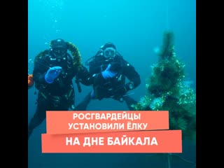 rosguards set up a christmas tree at the bottom of lake baikal