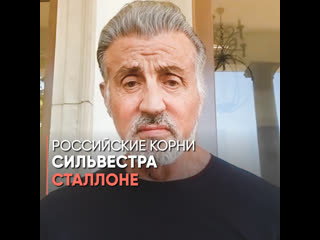 russian roots of sylvester stallone