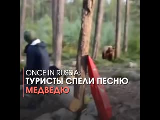 once in russia: tourists sang a song to the bear