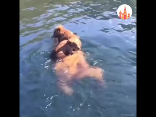 swimming with mom